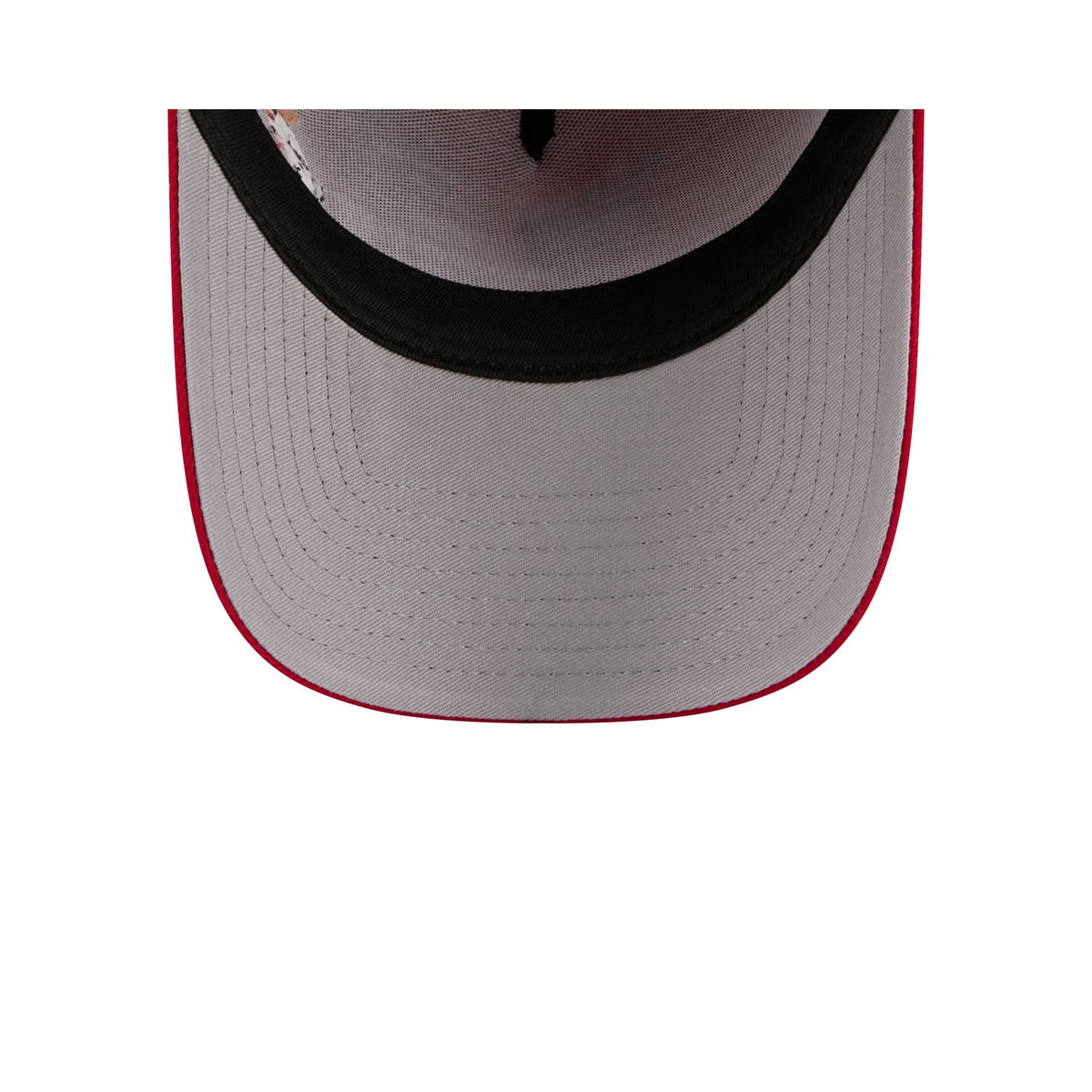 Washington Nationals Looney Tunes 9FORTY A-Frame Snapback Hat