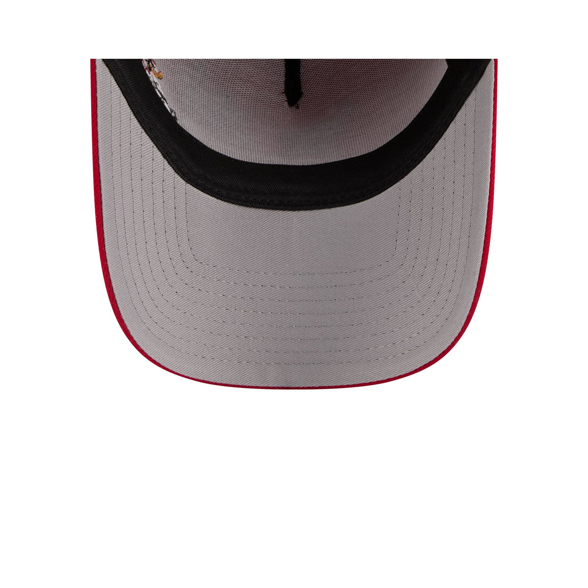 St. Louis Cardinals Looney Tunes 9FORTY A-Frame Snapback Hat