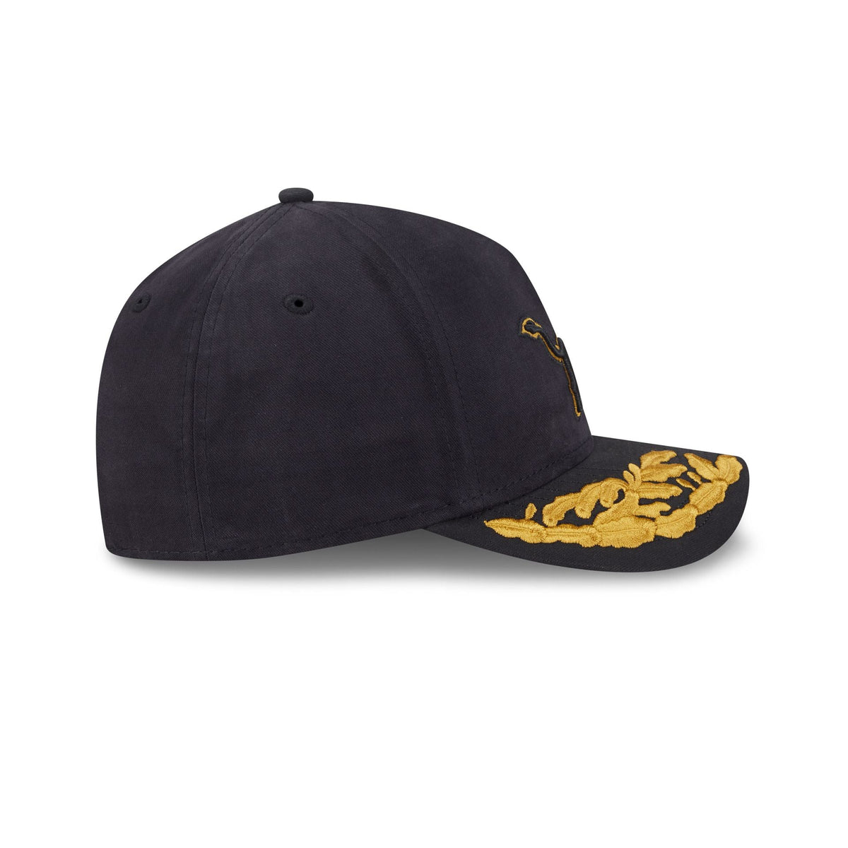Alpha Industries x Detroit Lions Black 9FORTY M-Crown A-Frame Snapback Hat