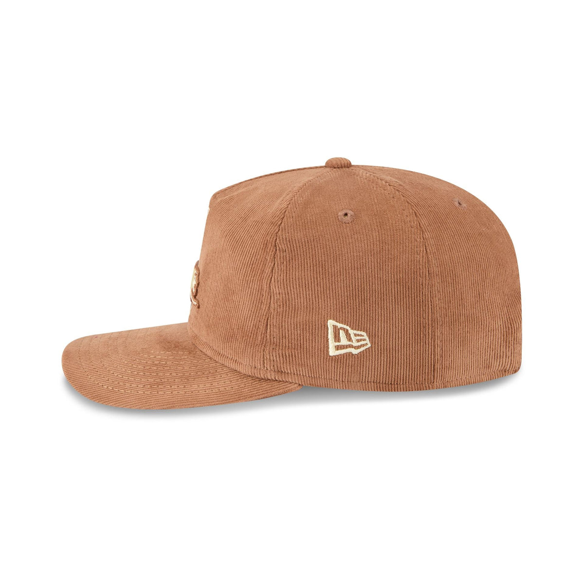 Detroit Lions Nostalgic Brown Corduroy 19TWENTY Adjustable Hat