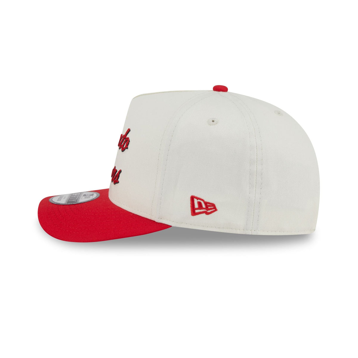 Toronto Raptors Chainstitch 9FIFTY A-Frame Snapback Hat