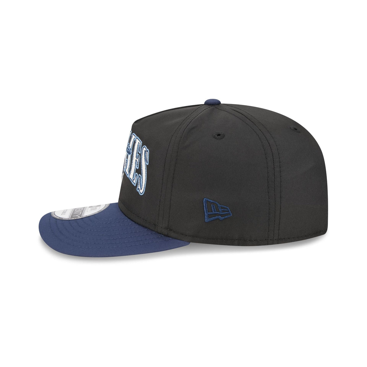 Memphis Grizzlies Dual Logo 19TWENTY Adjustable Hat
