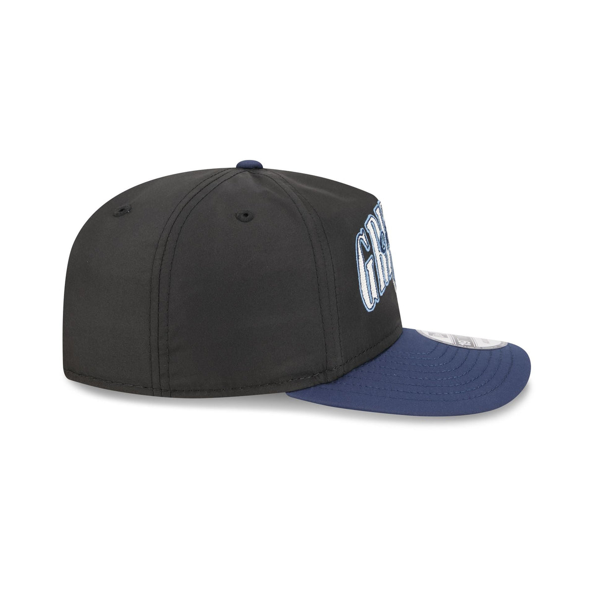 Memphis Grizzlies Dual Logo 19TWENTY Adjustable Hat