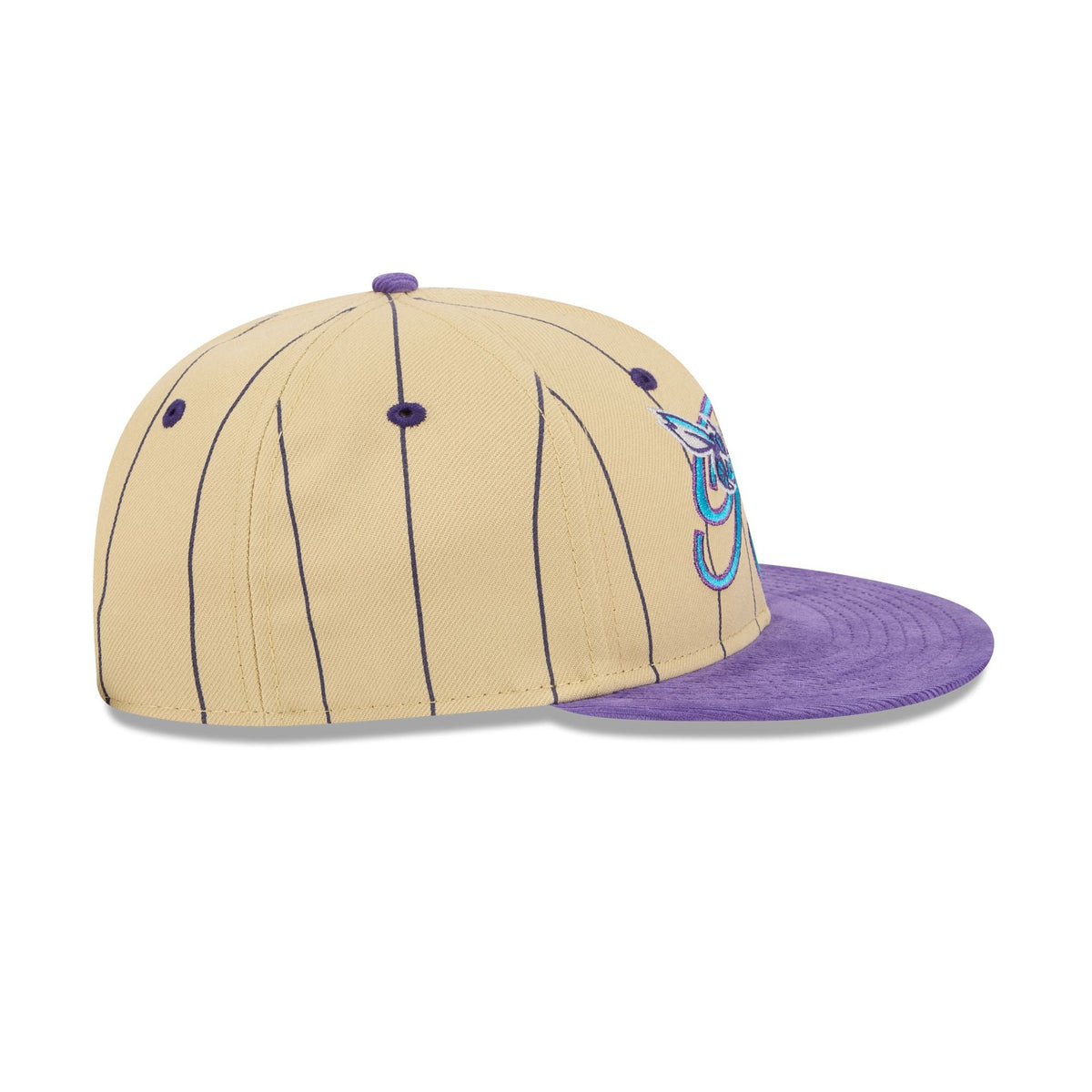 Charlotte Hornets Pinstripe Script Retro Crown 9FIFTY Adjustable Hat