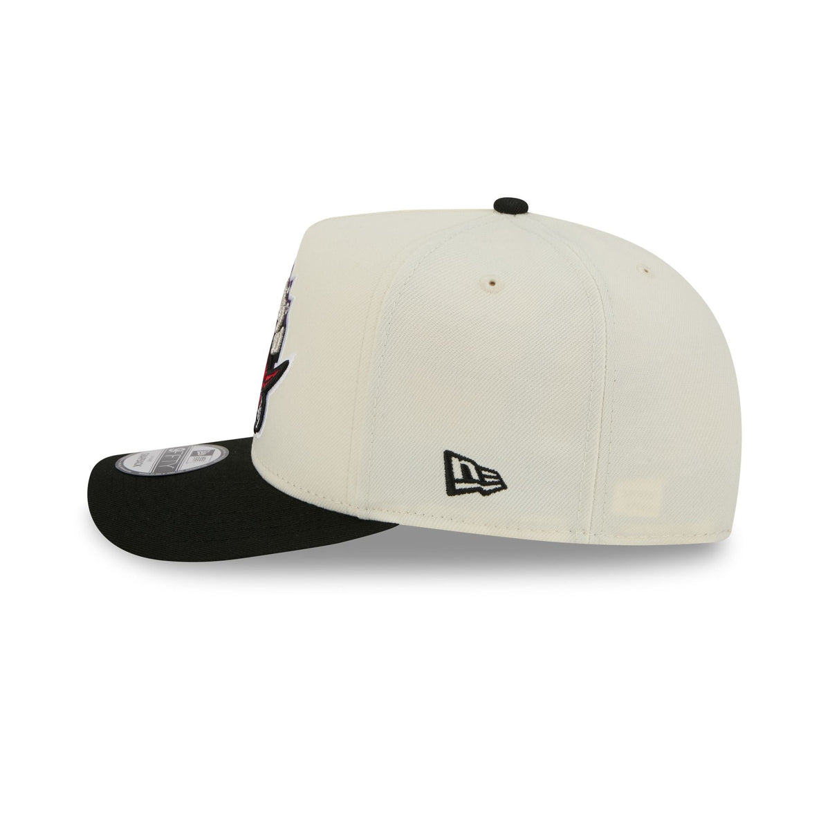 Toronto Raptors 1995-2007 Hardwood Classics Chrome White 9FIFTY A-Frame Snapback Hat