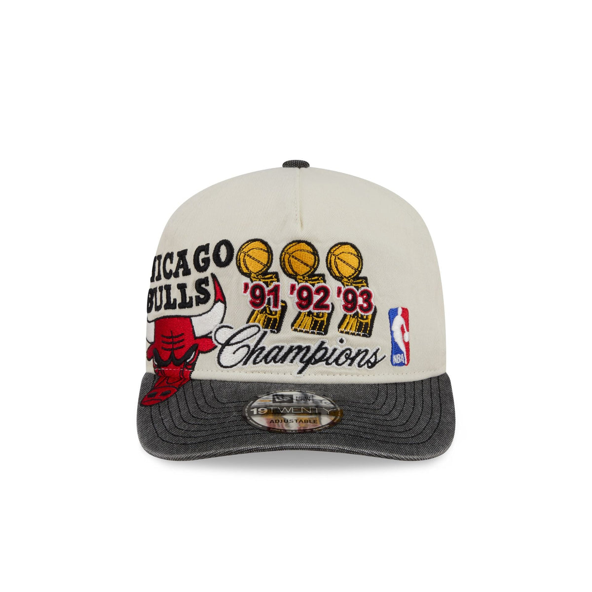 Chicago Bulls Hardwood Classics Past Glory 19TWENTY Adjustable Hat
