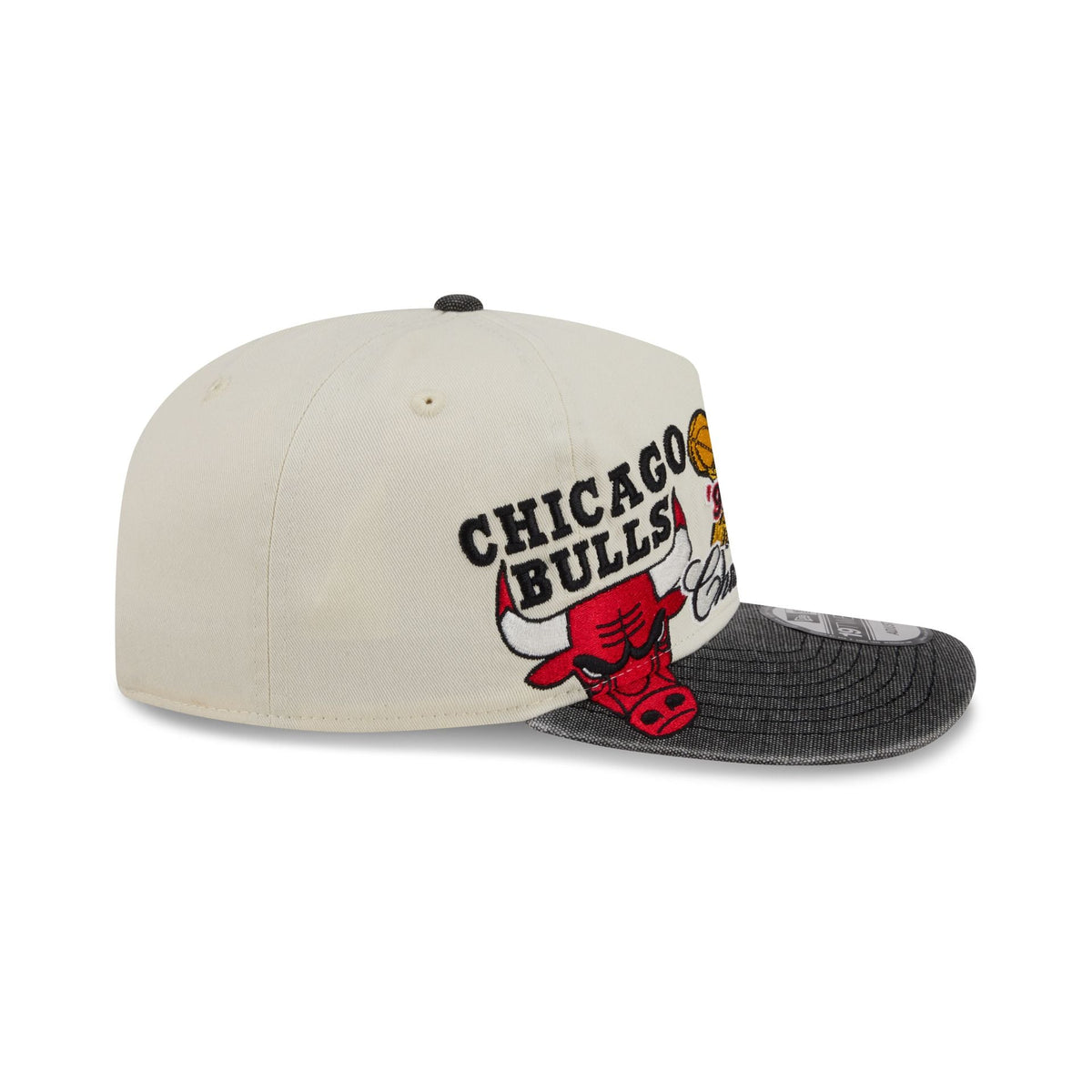 Chicago Bulls Hardwood Classics Past Glory 19TWENTY Adjustable Hat
