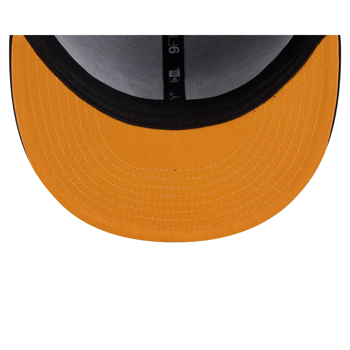 Houston Astros Daffy Duck Catch 9FIFTY Snapback Hat