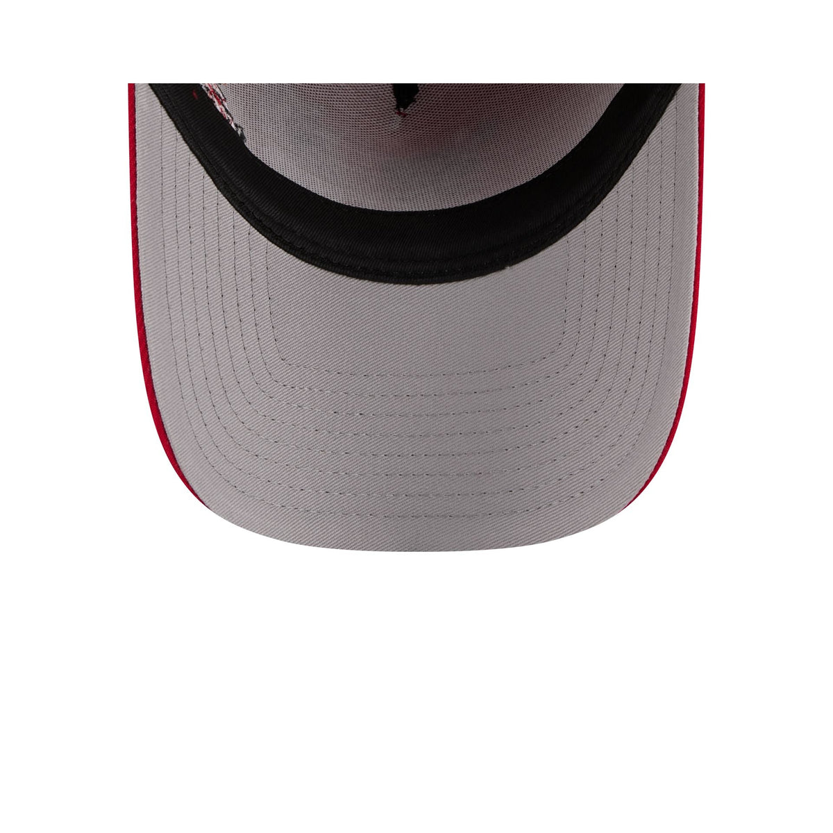 Philadelphia Phillies Looney Tunes 9FORTY A-Frame Snapback Hat