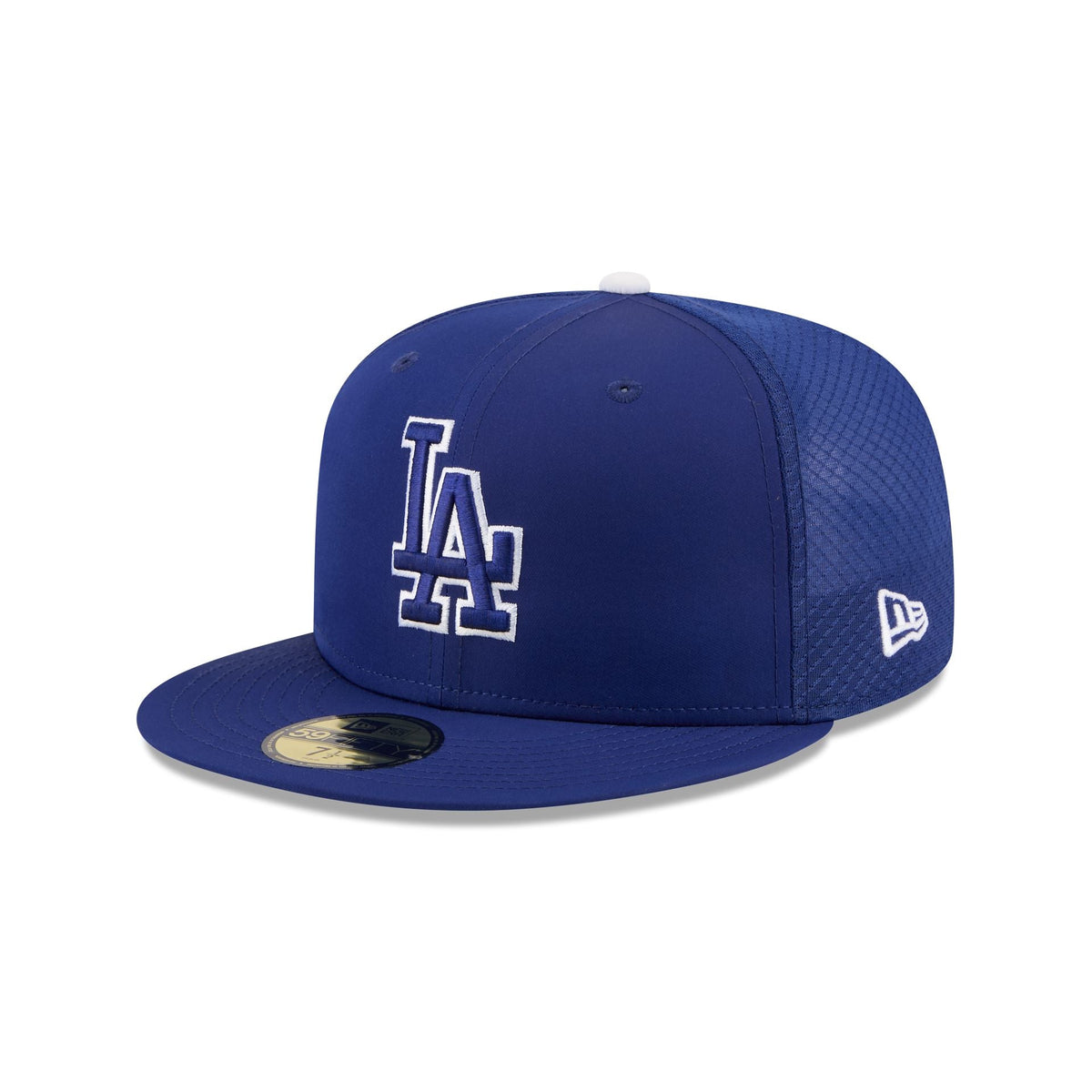 Los Angeles Dodgers 2026 Batting Practice Fan Pack 59FIFTY Fitted Hat