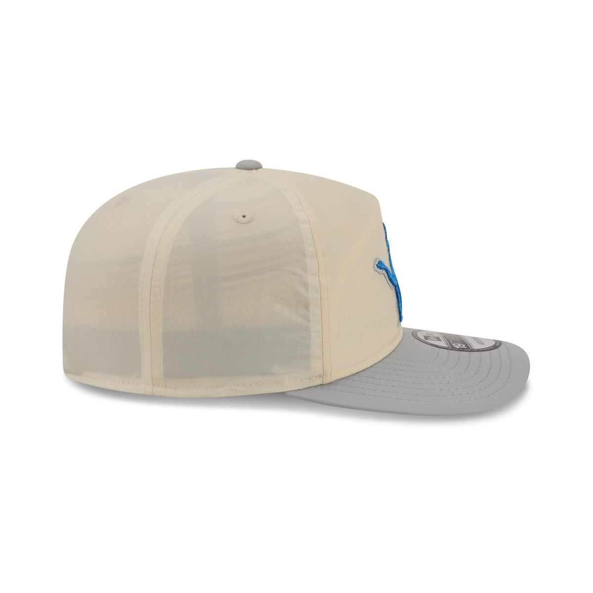 Detroit Lions Chrome Nylon 19TWENTY Adjustable Hat
