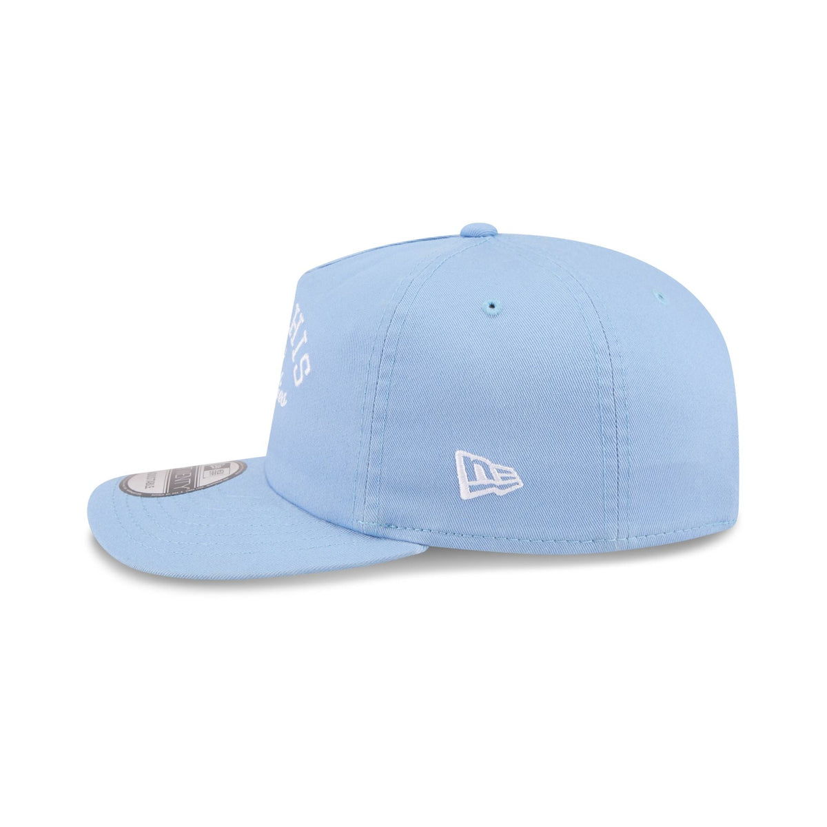Memphis Grizzlies Arched Graphic 19TWENTY Snapback Hat