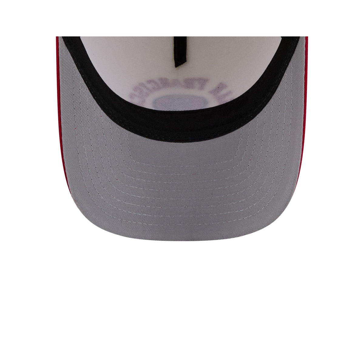 San Francisco 49ers Arched Graphic Chrome White 9FORTY M-Crown A-Frame Snapback Hat