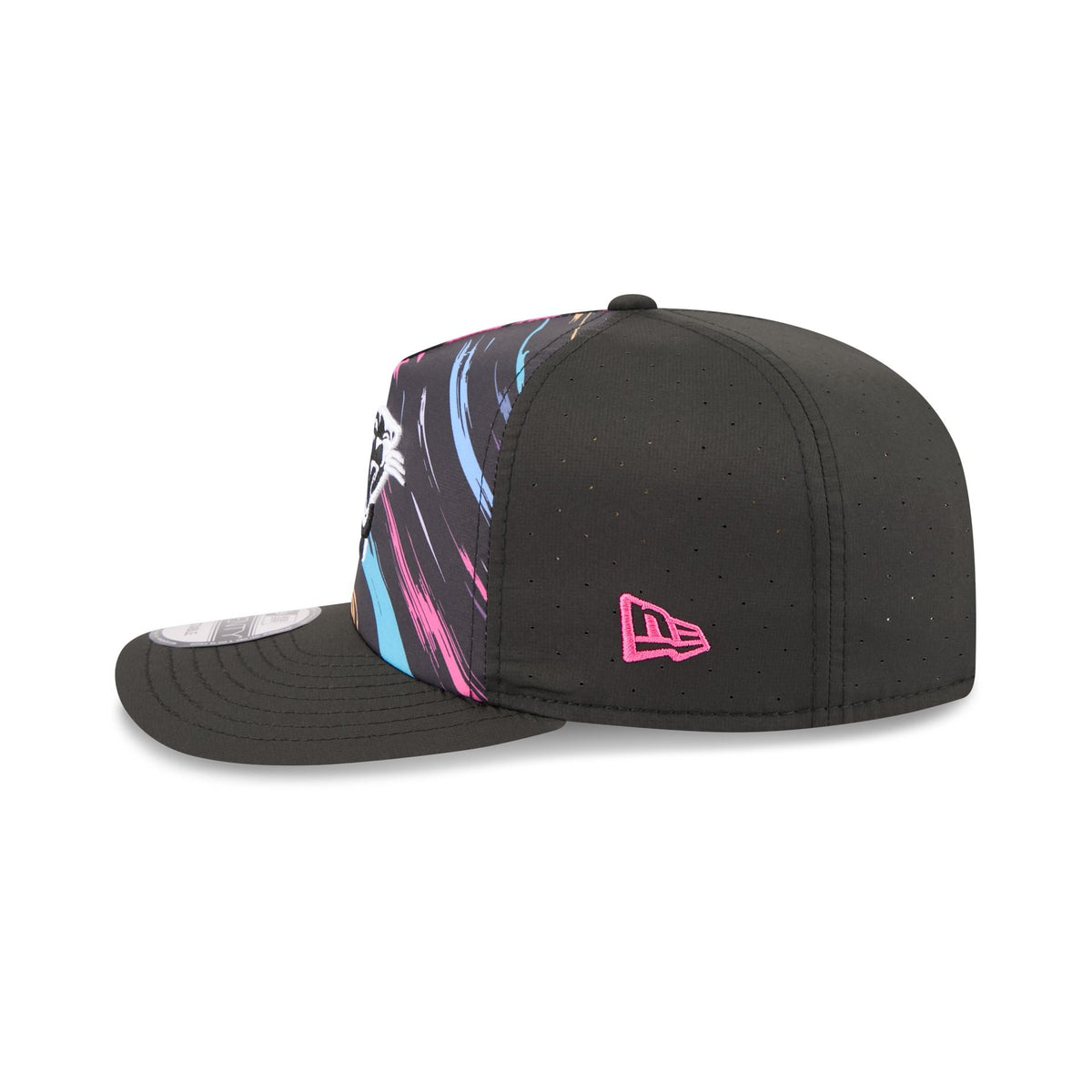 Carolina Panthers 2026 Crucial Catch 19TWENTY Snapback Hat