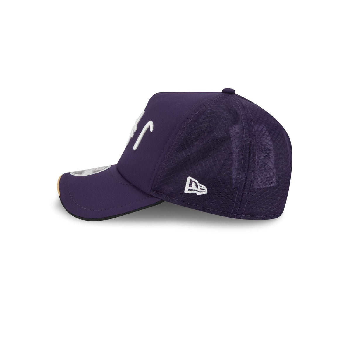Minnesota Vikings 2026 Rivalries Kids 9FORTY APEX Snapback Hat