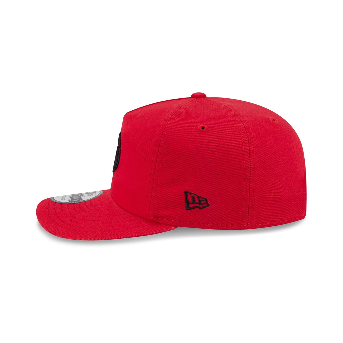 Toronto Raptors Team 19TWENTY Snapback Hat