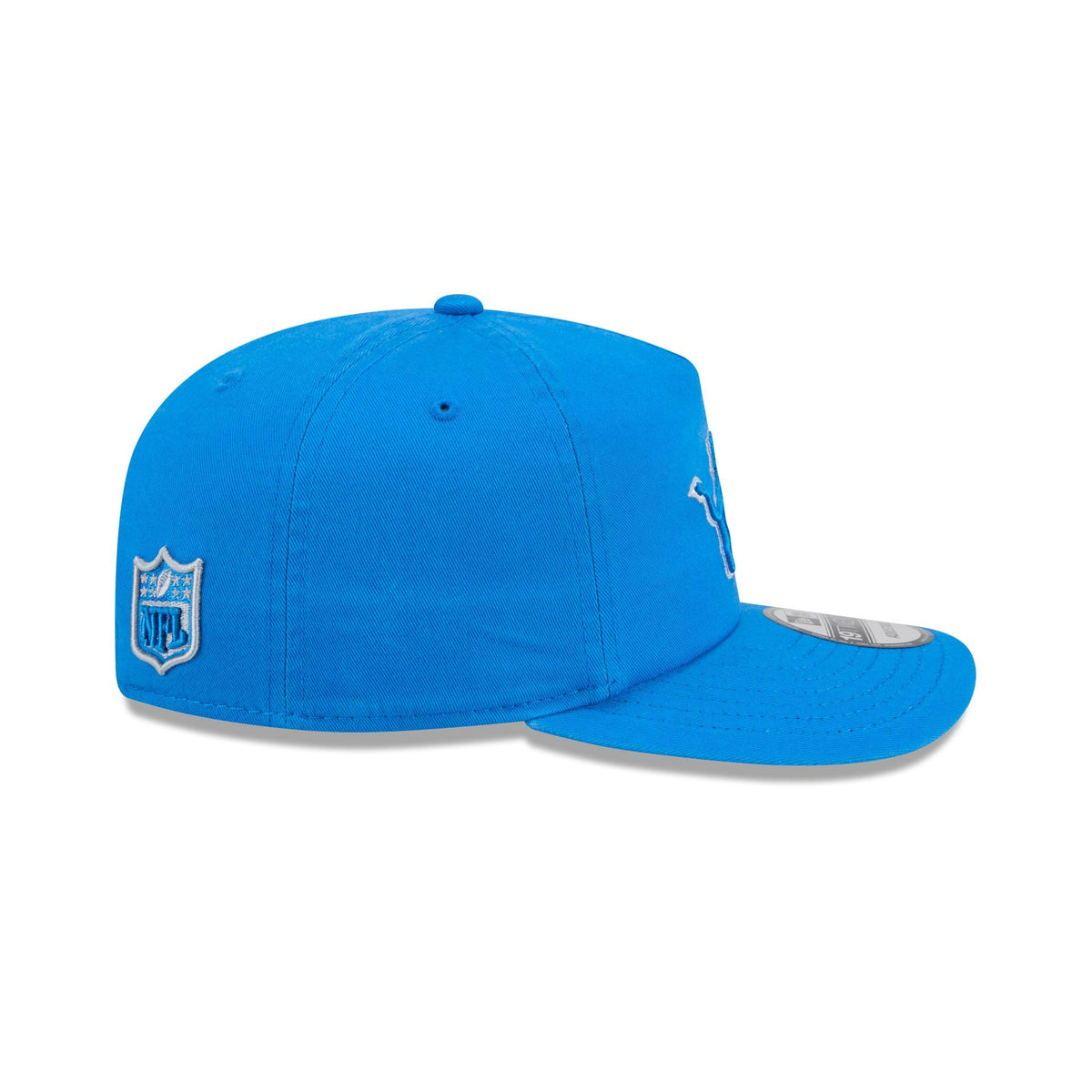 Detroit Lions Team 19TWENTY Snapback Hat