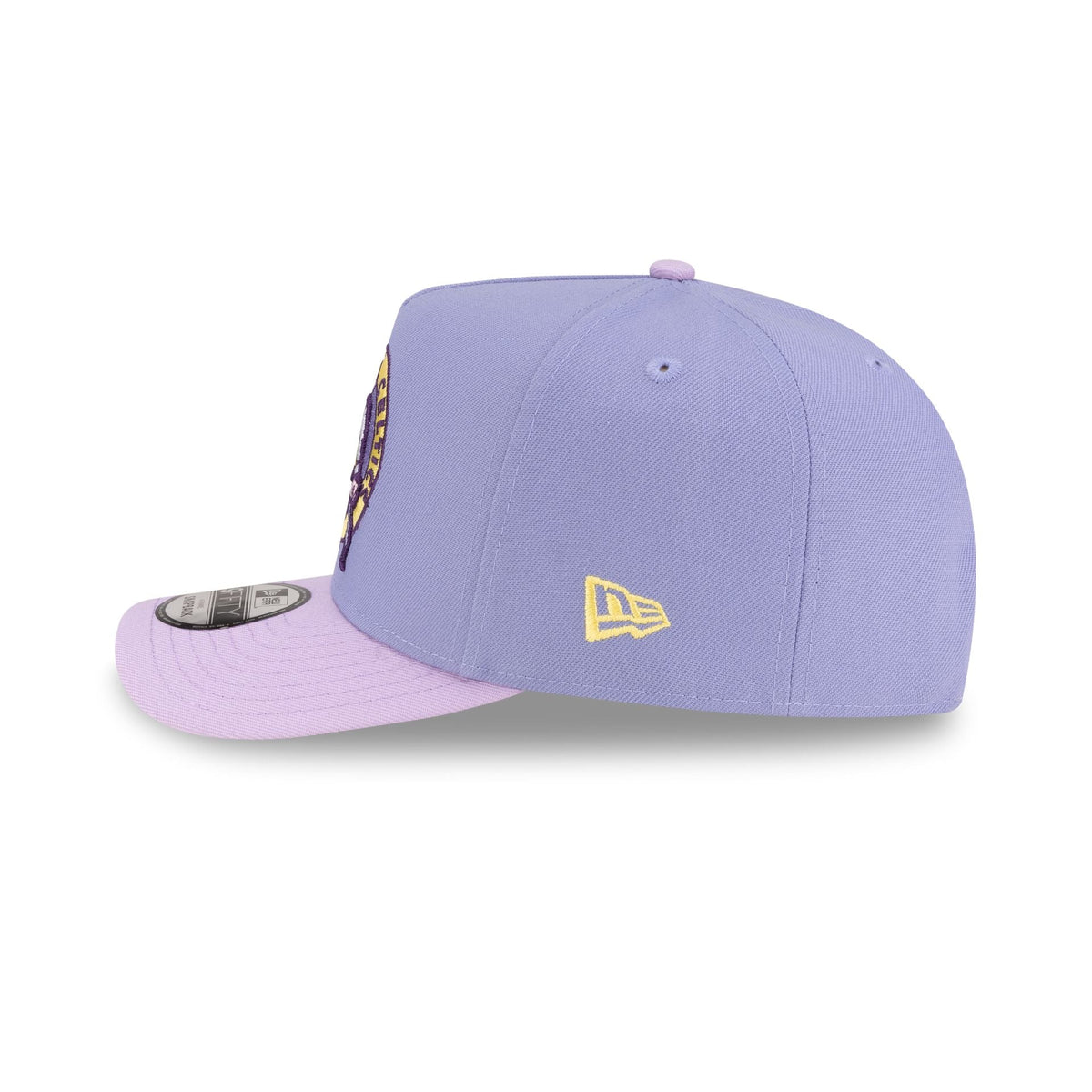 Boston Celtics Lavender 9FIFTY A-Frame Snapback Hat