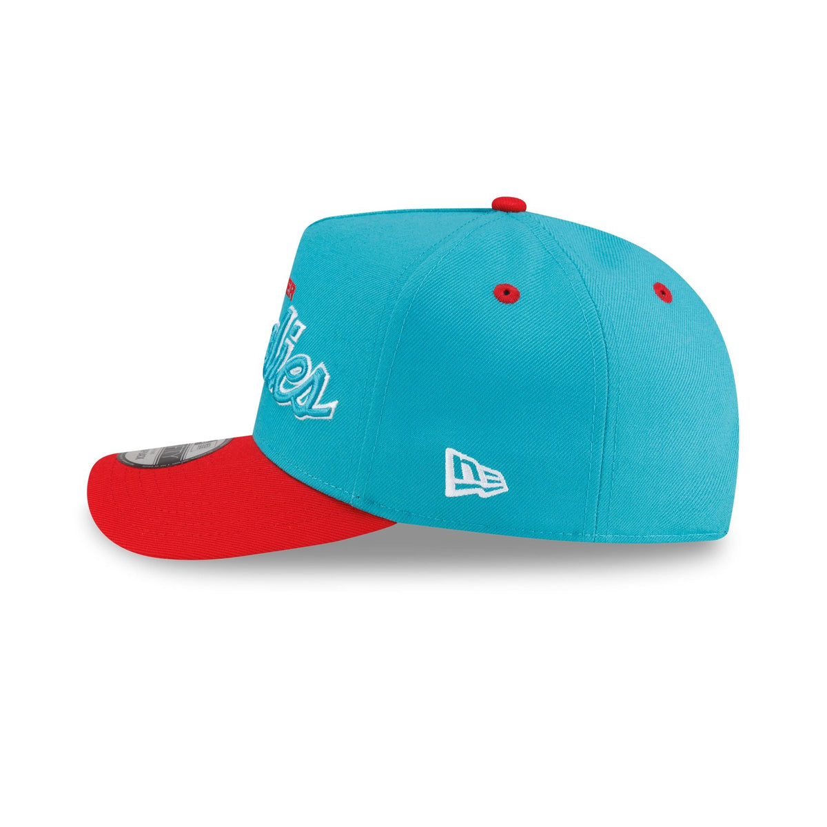 Vancouver Grizzlies Hardwood Classics 90s Script 9FIFTY A-Frame Snapback Hat